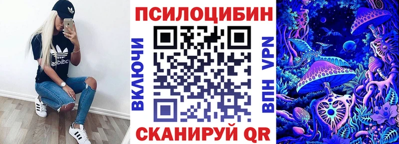 Псилоцибиновые грибы мицелий Бородино