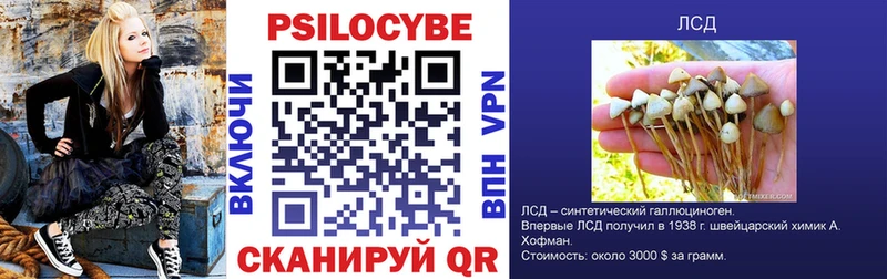 Псилоцибиновые грибы Magic Shrooms  Бородино 
